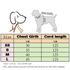 Adorable Comfort Cat Harness
