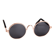 Cool Cat and dog sun glasses