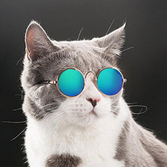 Cool Cat and dog sun glasses