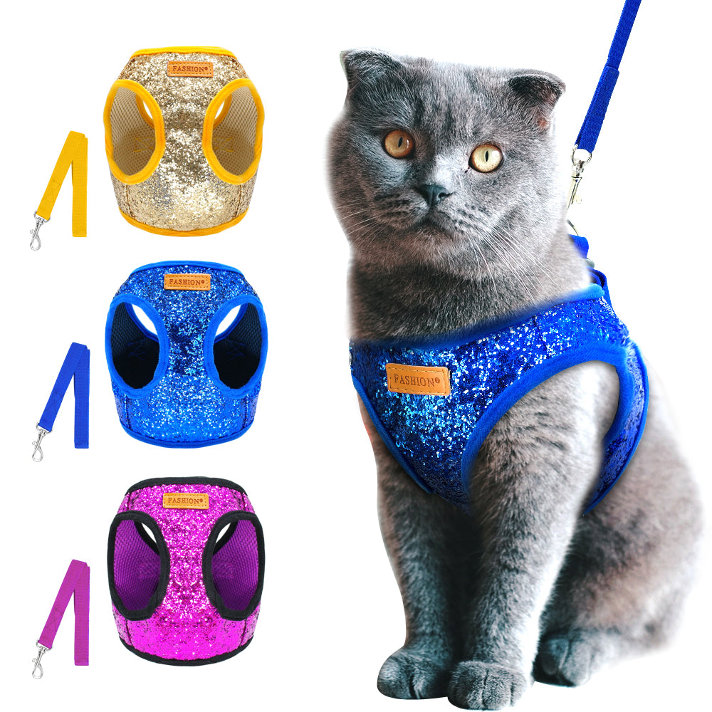Harness & Leash Set
