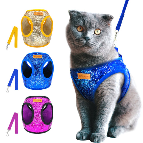 Harness & Leash Set