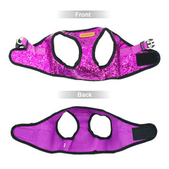 Harness & Leash Set