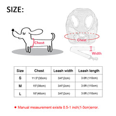 Harness & Leash Set