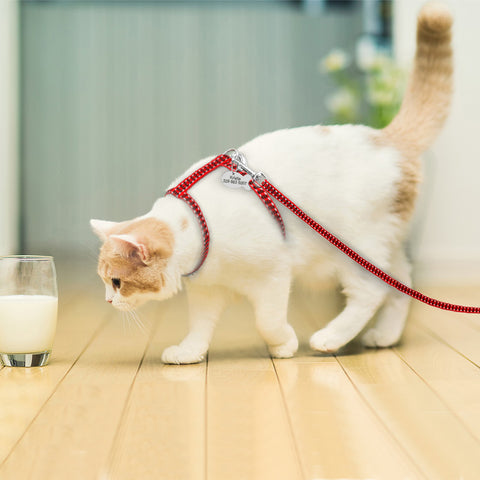 Chest Vest Reflective Cat Harness Leash