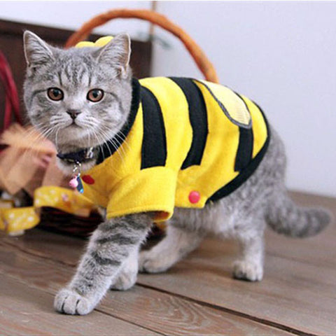 Cat Clothes Cute Bee