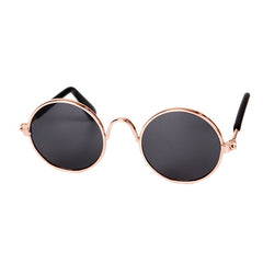 Cool Cat and dog sun glasses