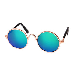 Cool Cat and dog sun glasses