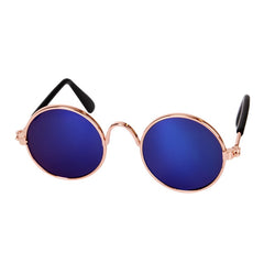 Cool Cat and dog sun glasses
