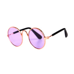 Cool Cat and dog sun glasses