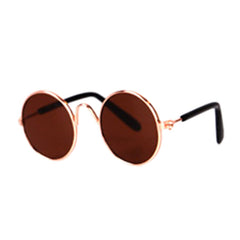 Cool Cat and dog sun glasses