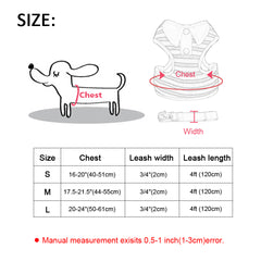 Cute Cat Harness Vest