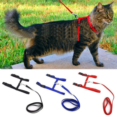 Cat Harness Belt