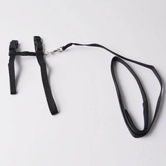 Cat Harness Belt