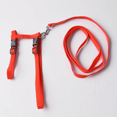 Cat Harness Belt
