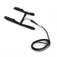 Cat Harness Belt