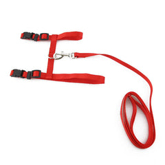 Cat Harness Belt