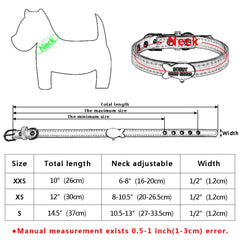 Customized Cat Collar