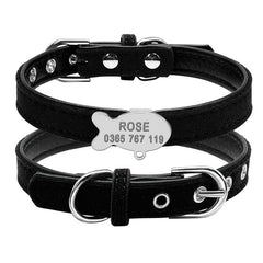 Customized Cat Collar