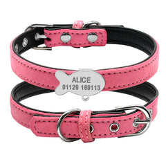 Customized Cat Collar