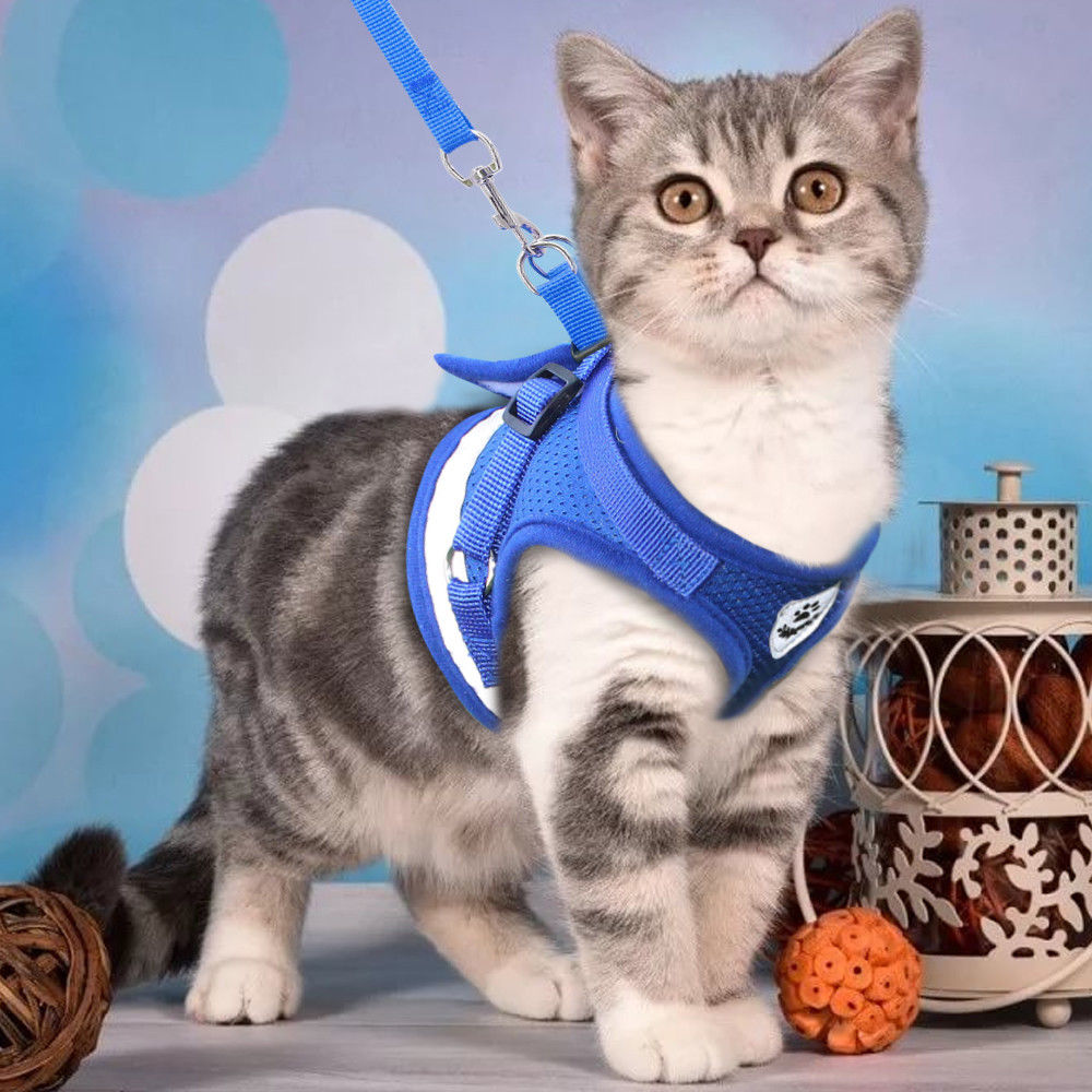 Cat Harness & Leash Set Reflective