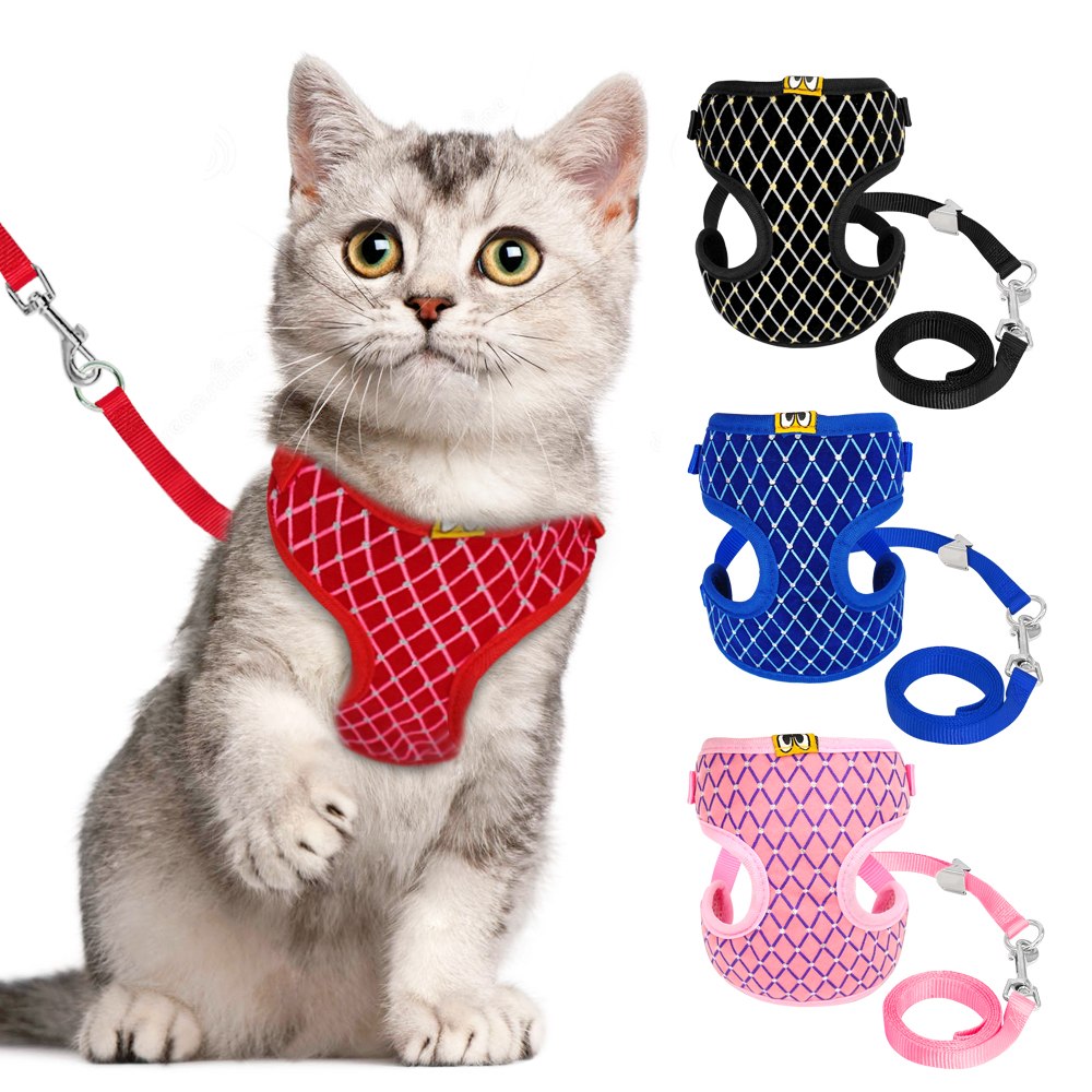 Mesh Cat Harness & Leash