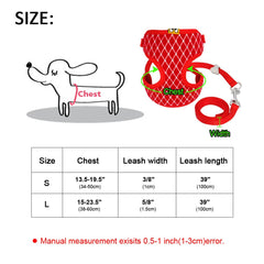 Mesh Cat Harness & Leash
