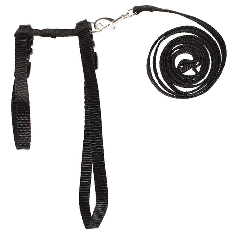Cat Kitten Halter Set