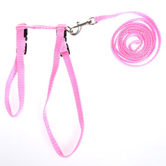 Cat Kitten Halter Set
