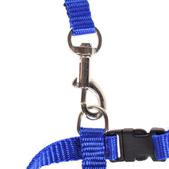 Cat Kitten Halter Set