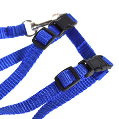 Cat Kitten Halter Set