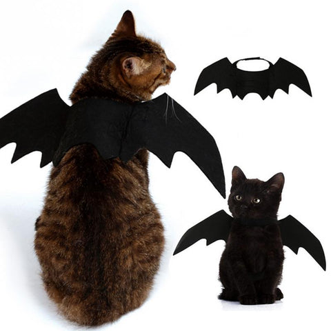 Cat Lightness Bat Wings