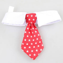 Cute Cat Tie Collar