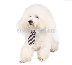 Cute Cat Tie Collar