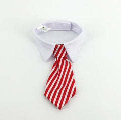 Cute Cat Tie Collar