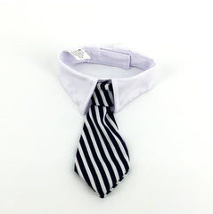 Cute Cat Tie Collar