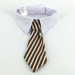 Cute Cat Tie Collar