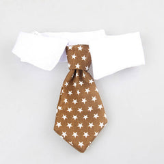Cute Cat Tie Collar